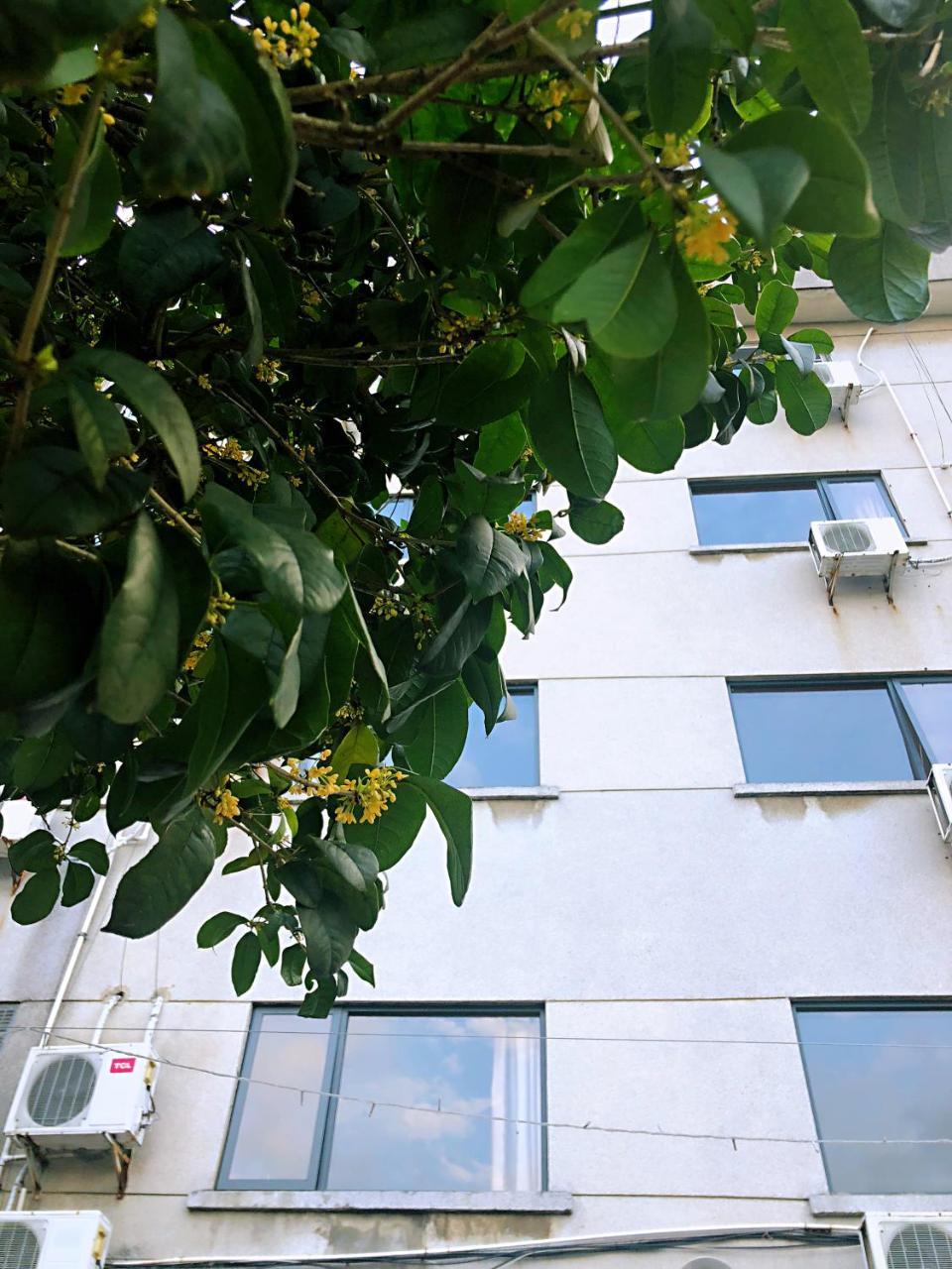 Lakeside Hostel Guilin Exterior foto